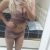 Hatay iskenderun yeni escort Ece - Image 2