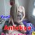 Hatay antakya escort melis - Image 1