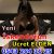 İskenderun seksi escort Alina - Image 3