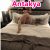 Antakya seksi escort bayan Buket - Image 4