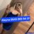 İSKENDERUN ESCORT ALEYNA - Image 2